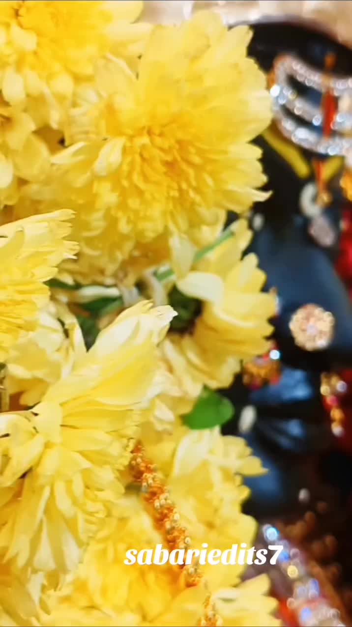 @sabari Iyyappan