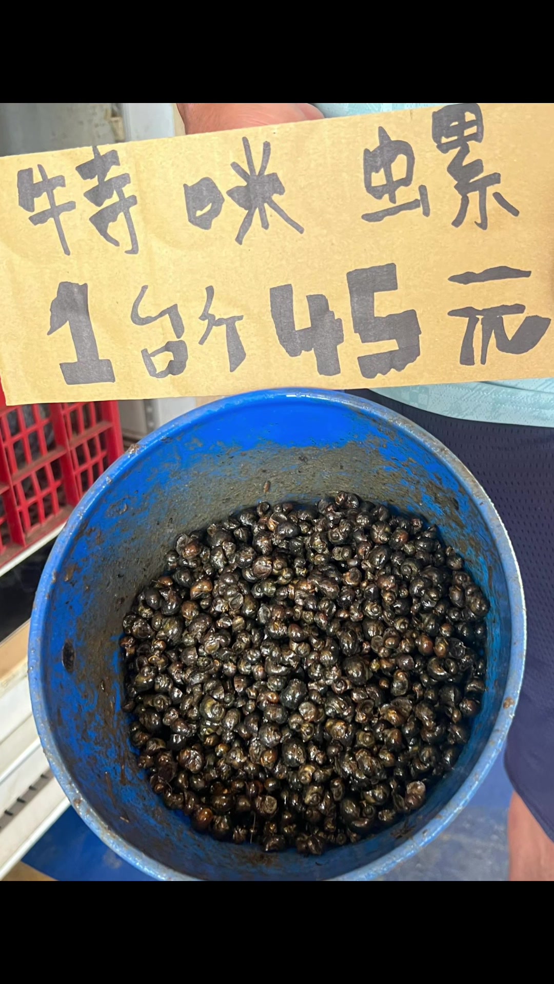@阿興檳榔攤(金寶螺專賣店