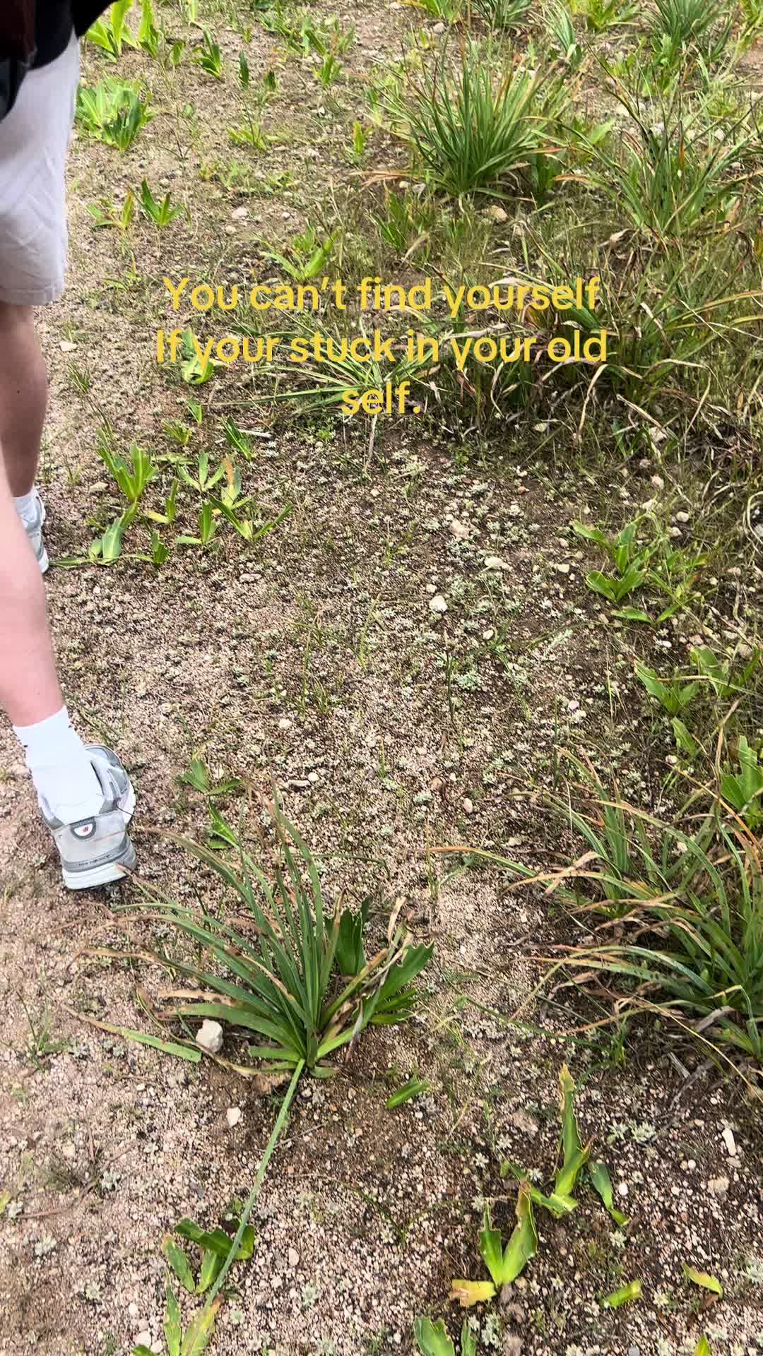 @BradyThoughts