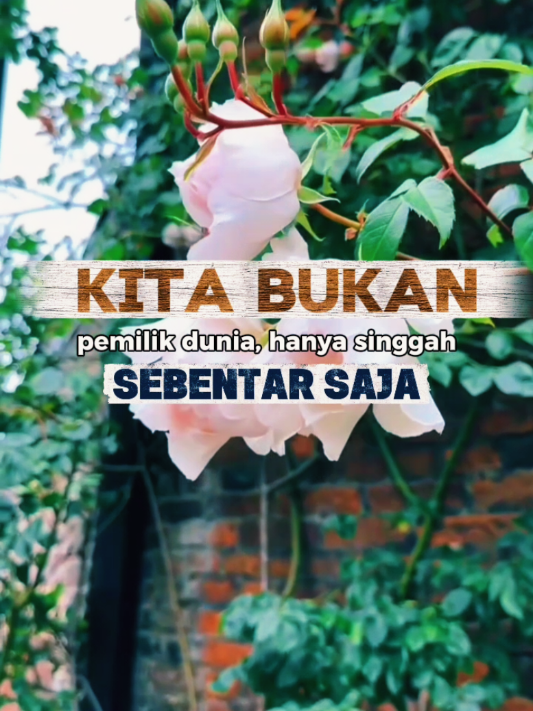 @NIK ZURA