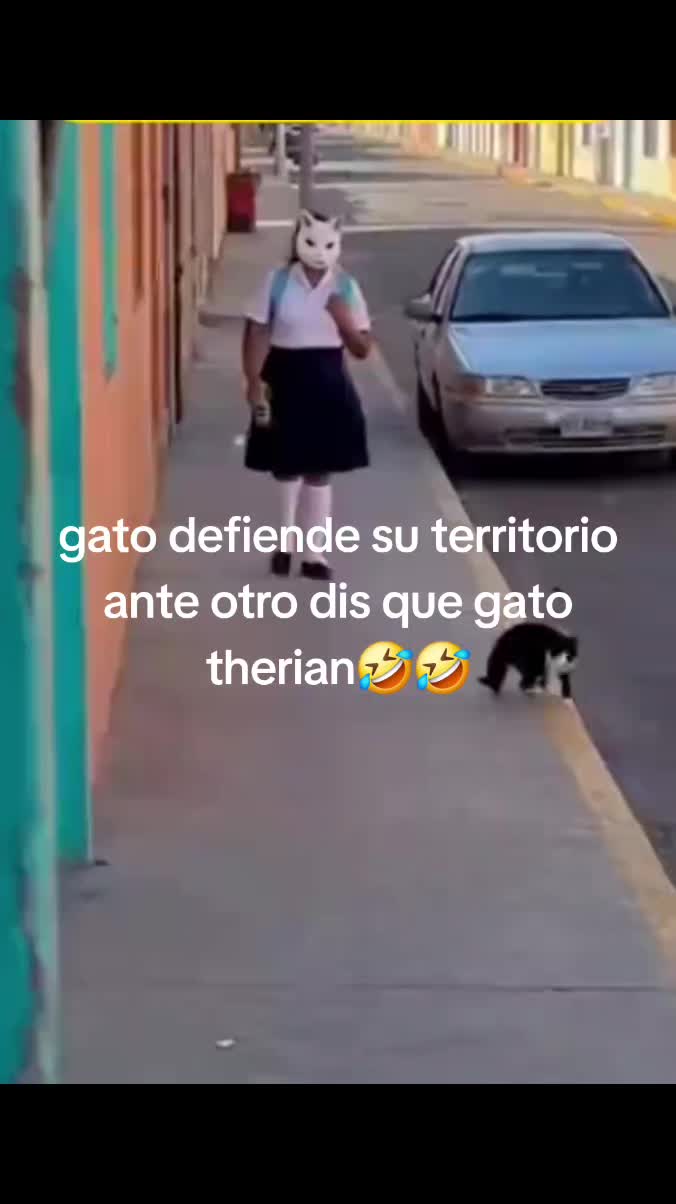 @G .. maldonado