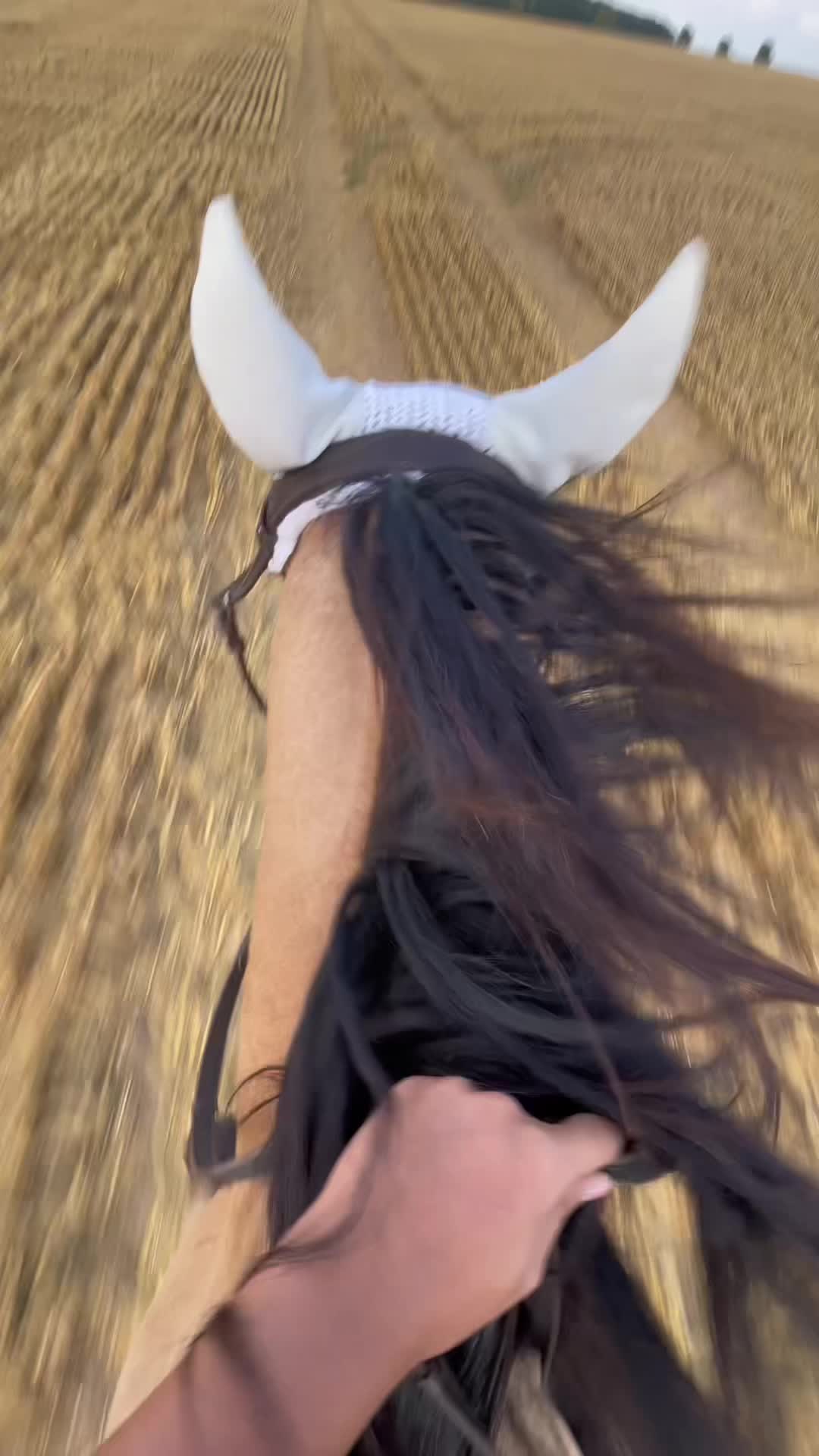 @☀️💕
