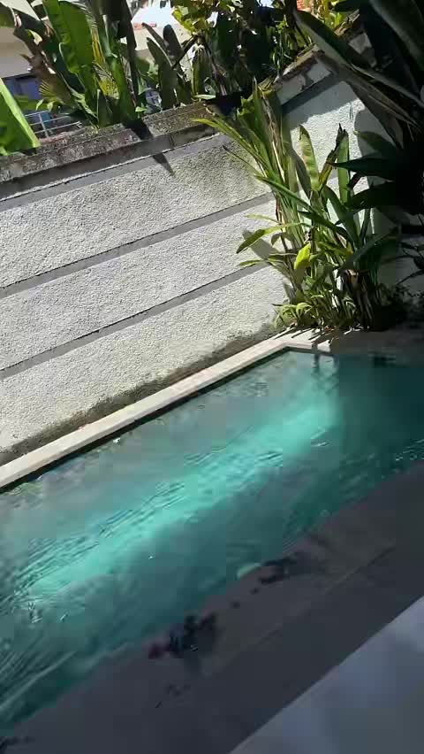@Digs