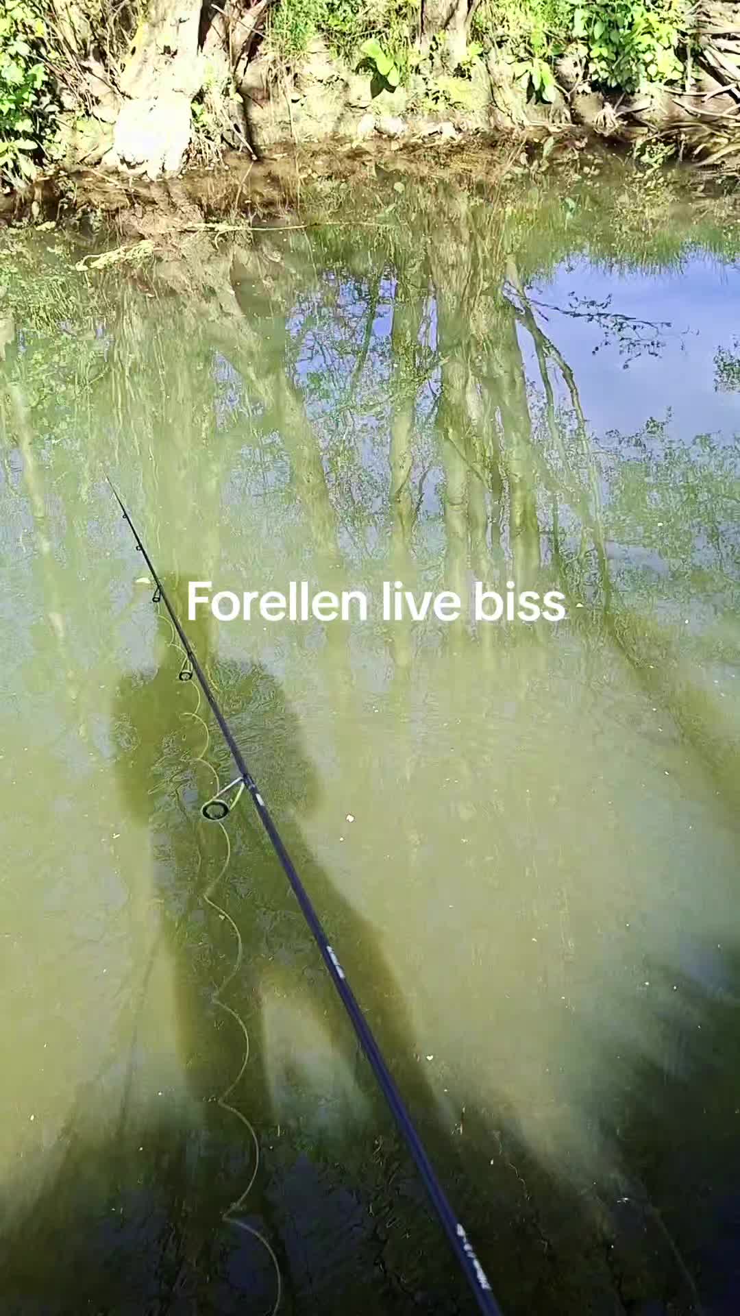 @erlebniss_angeln