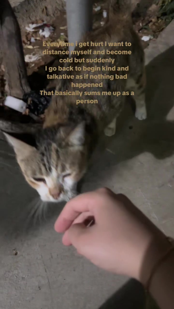 @سولين