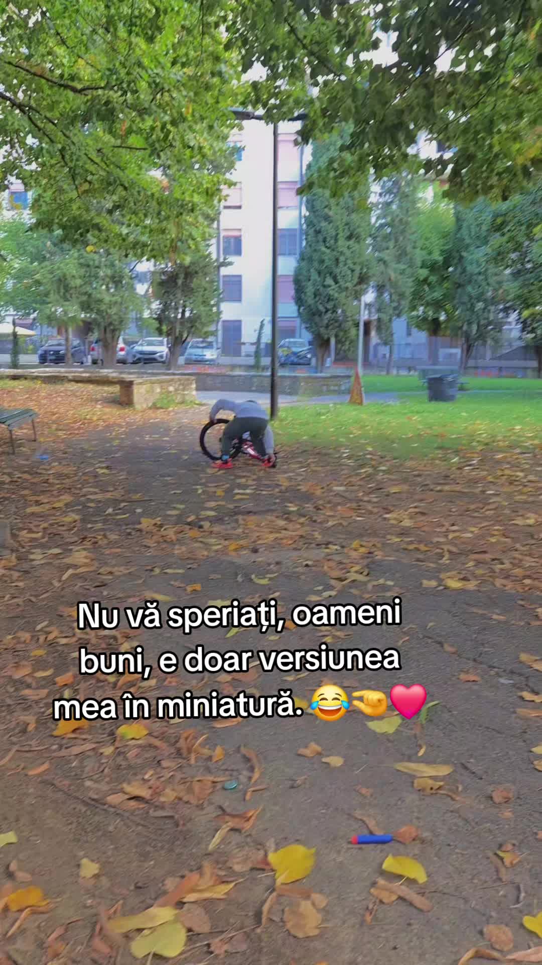 @anaiasmyna2020