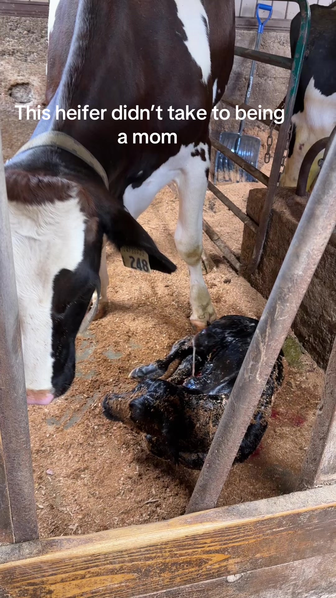 @The Farmers Wife