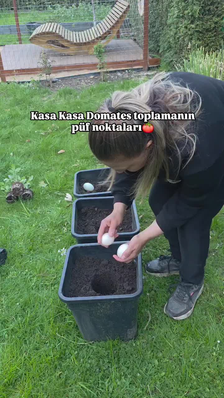 @meralworld