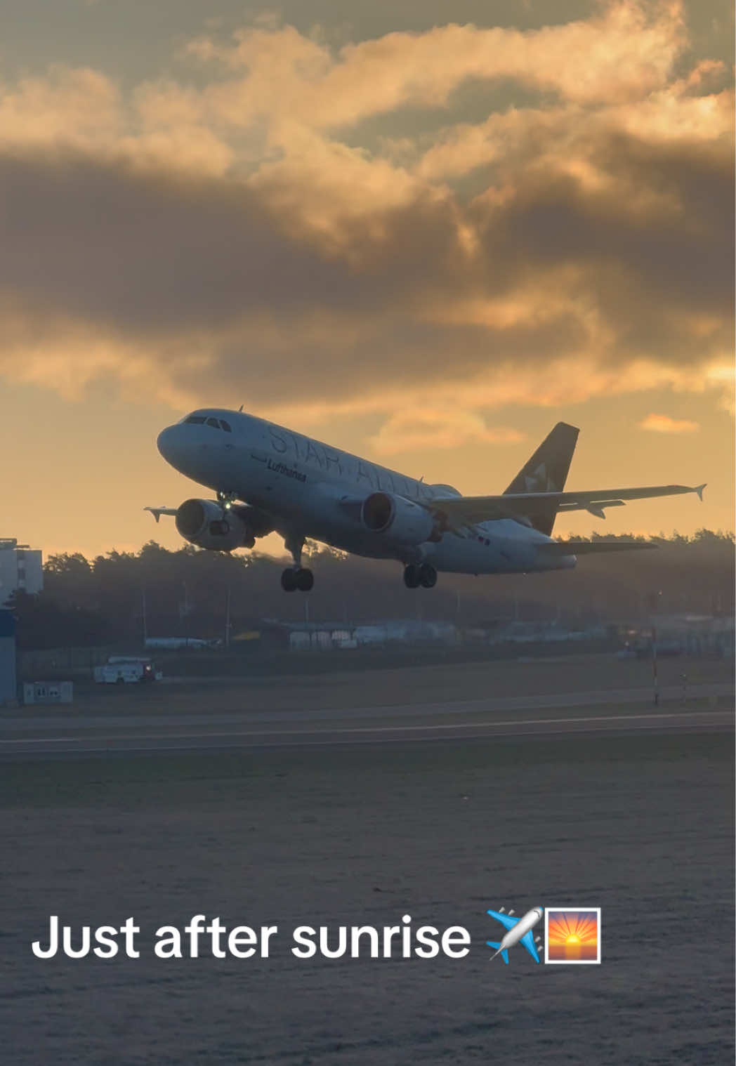 @spotterkubus
