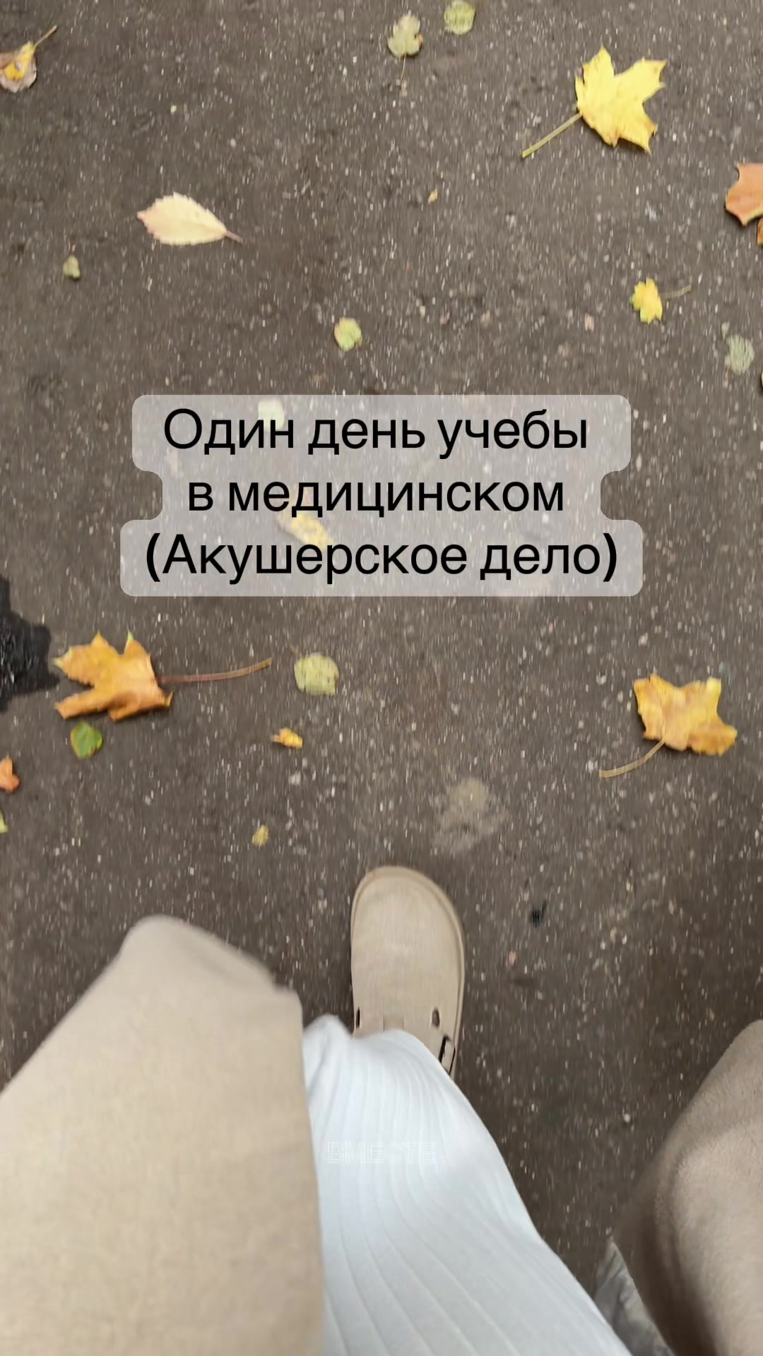 @ТГК:буль🤍