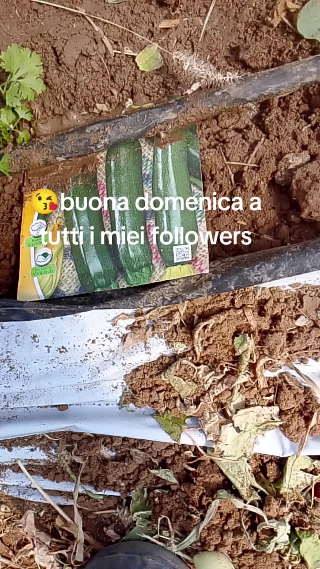 @Stefano Zagara
