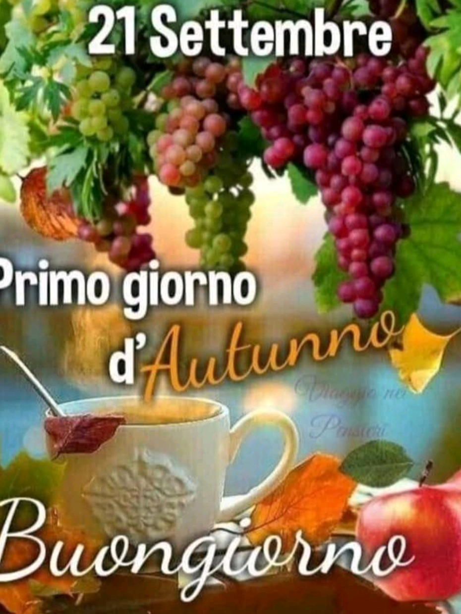 @pinamiano795