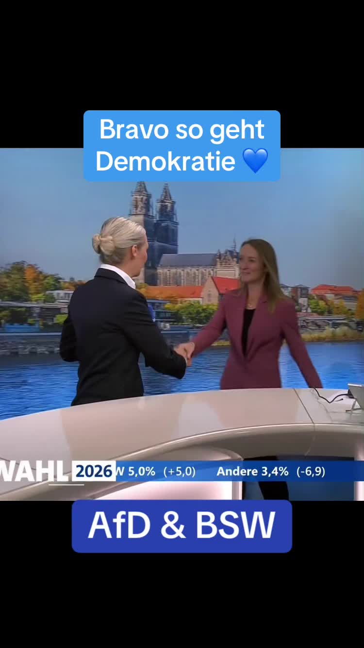 @vizekanzlerderherzen