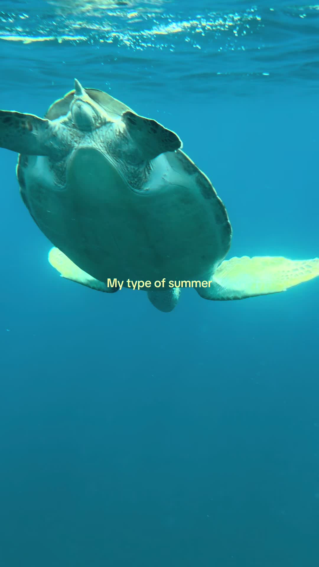 @𝐄𝐯𝐚𝐧𝐞𝐬𝐜𝐞𝐧𝐜𝐞