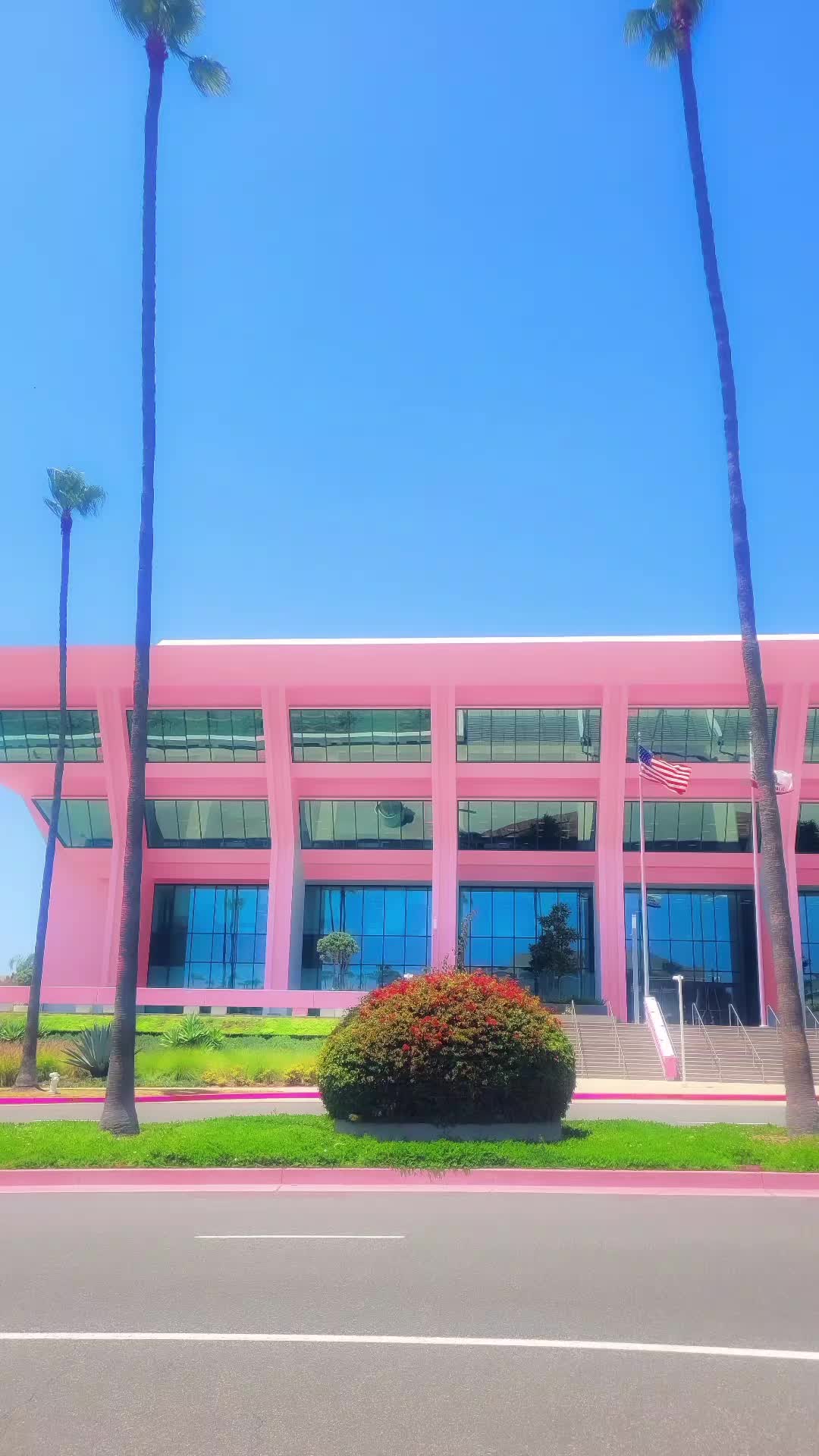 @Davin Del Amo
