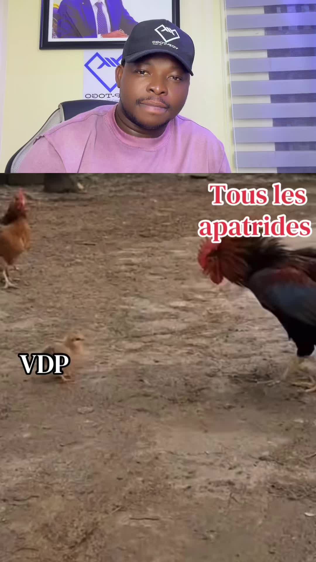 @VDP TOGO