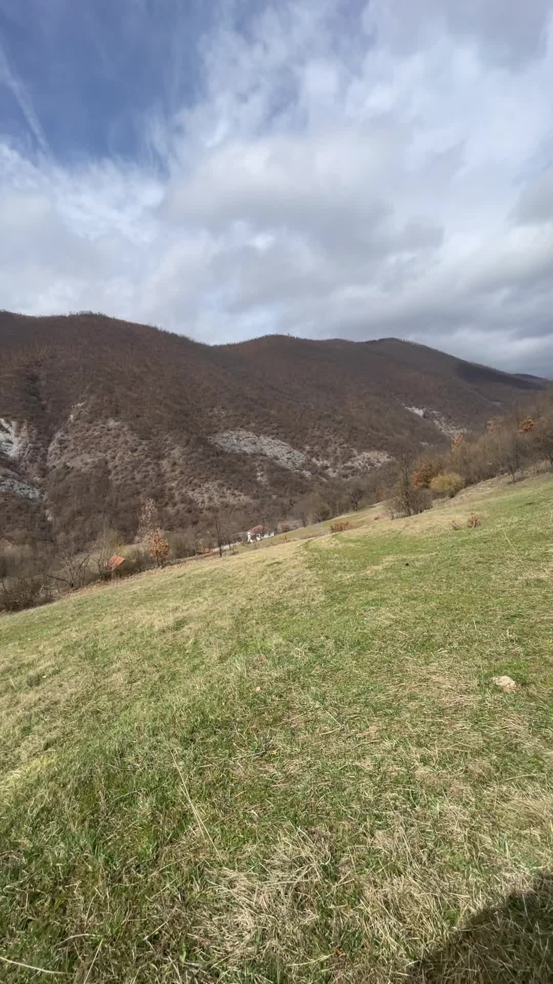 @2006
