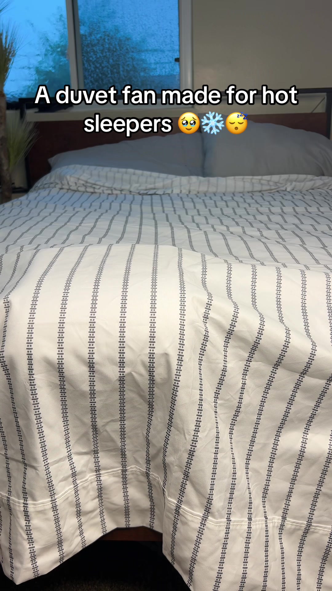 @RoseBloom