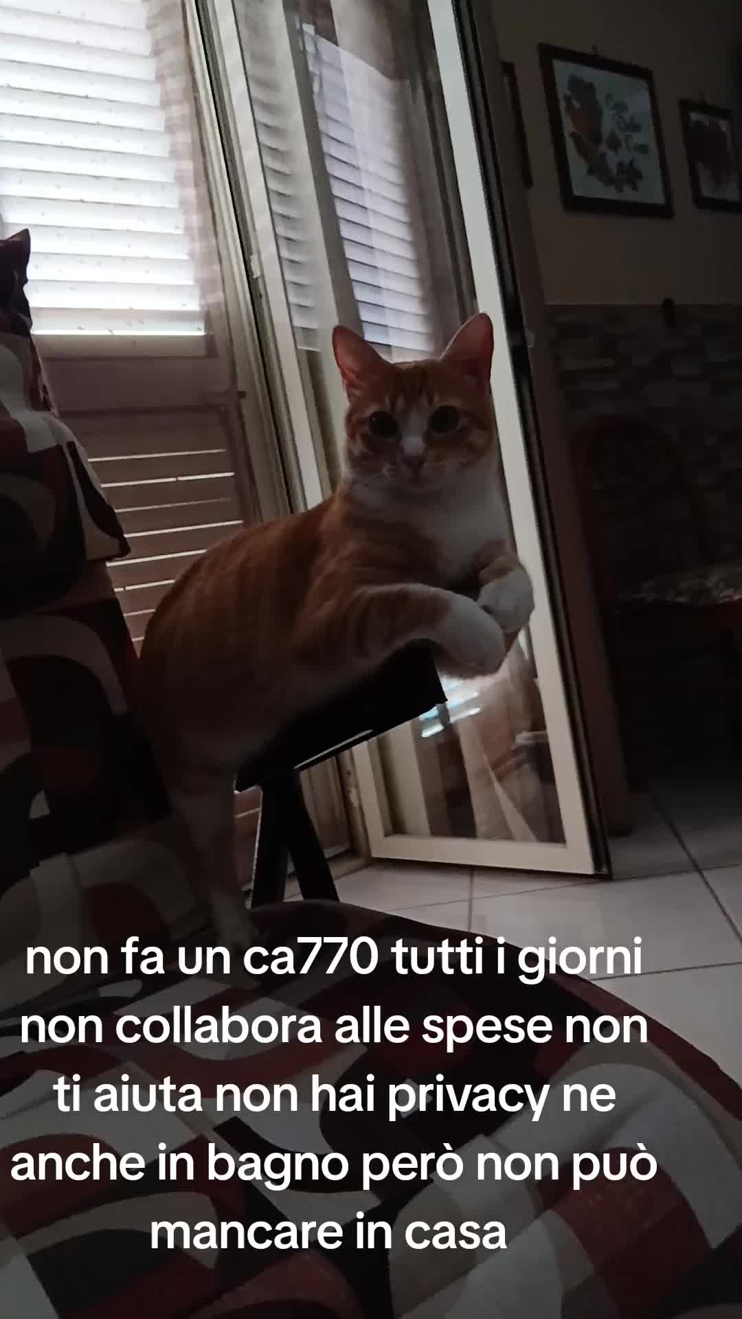 @massimo . Siciliano 🫶