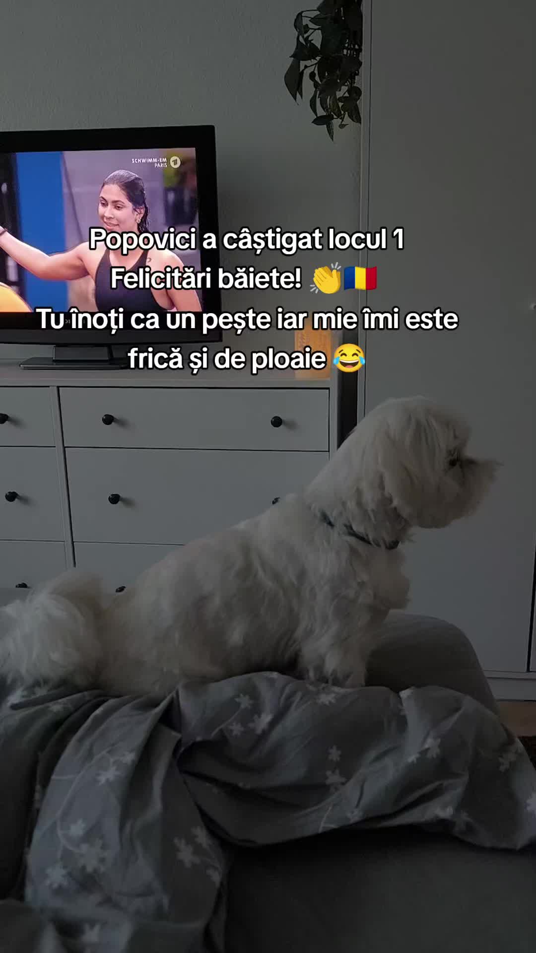 @🐾 BUBI 🐾