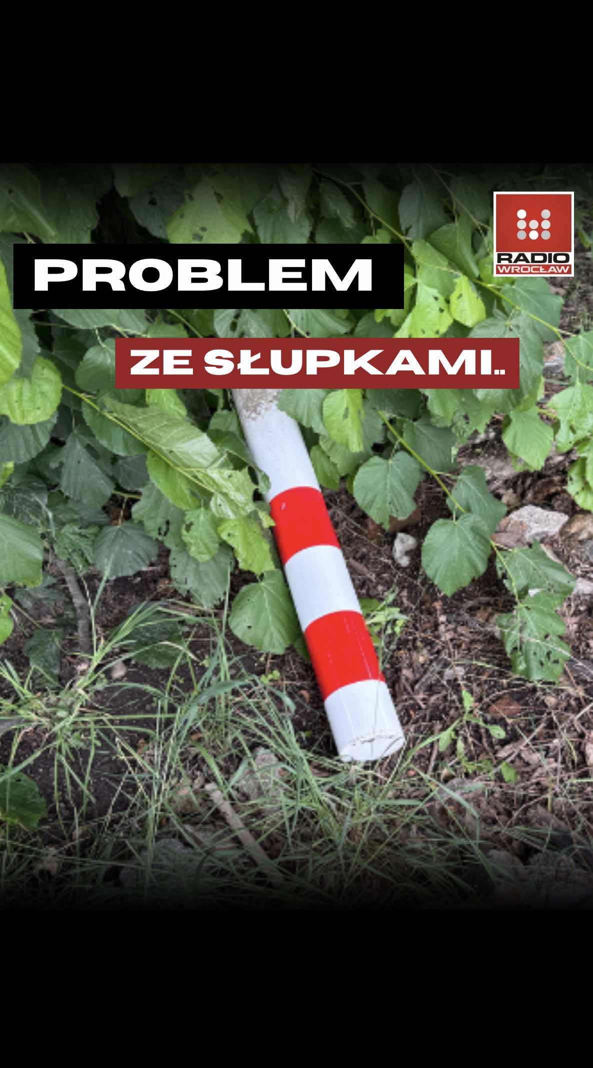 @Radio z Dolnego Śląska