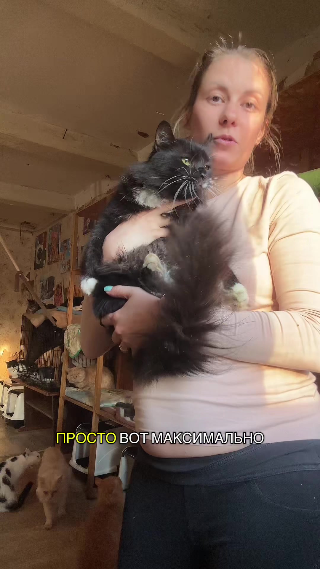 @Директор «Песокот»250🐈🐶