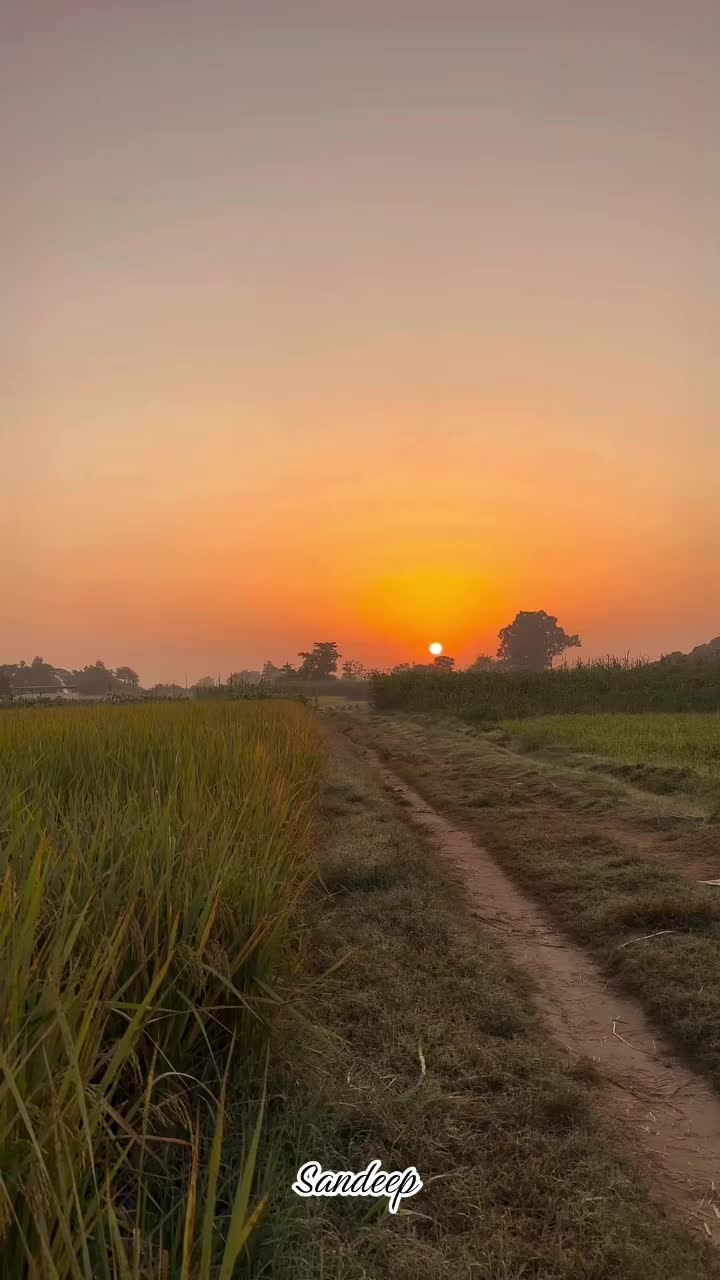 @Sdeep_2022