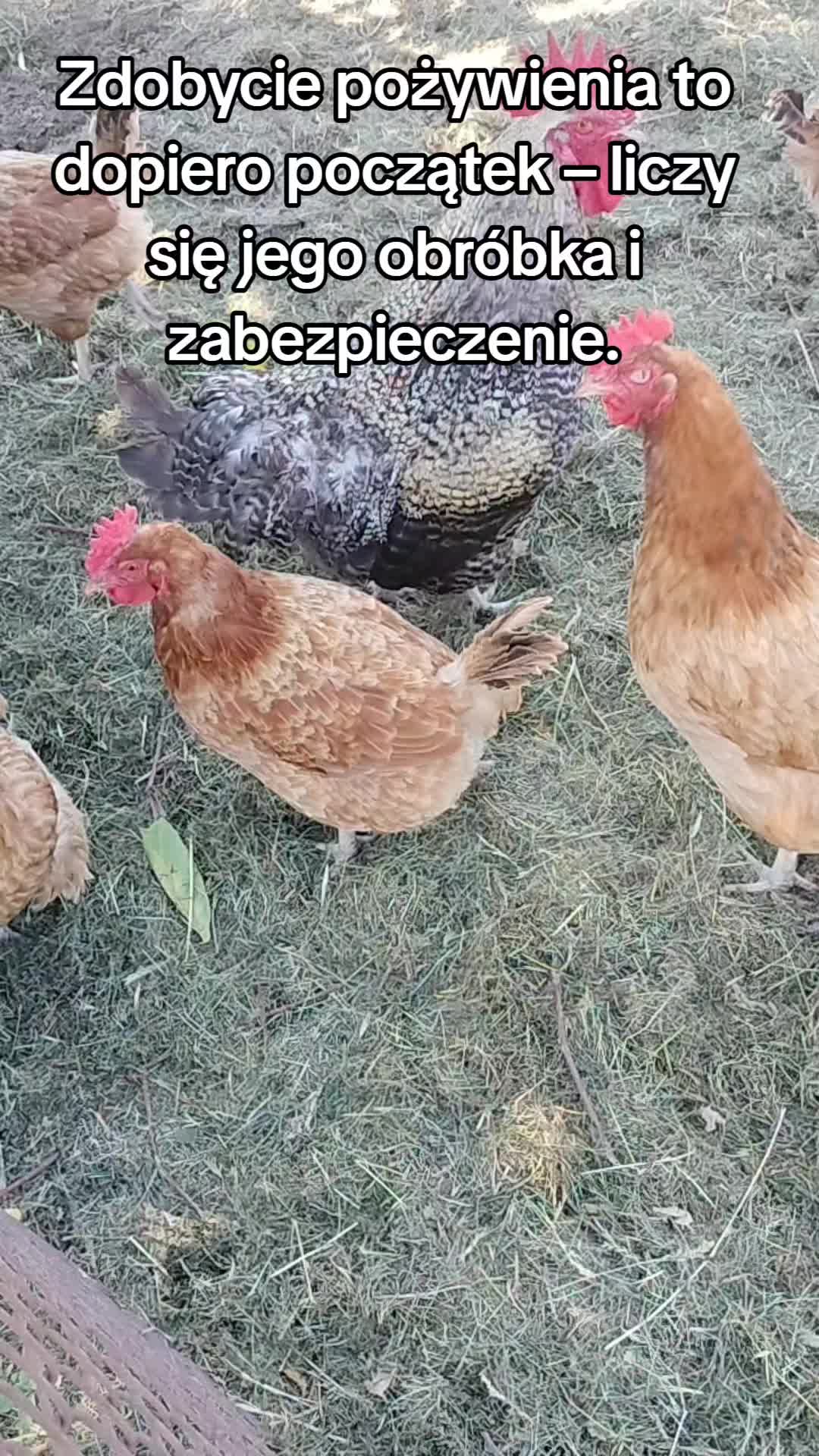 @Zielsko Szeptuchy