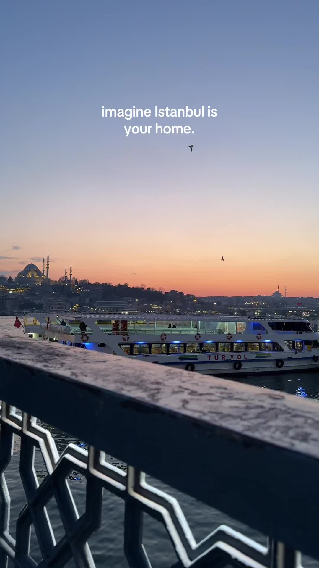 @sinem