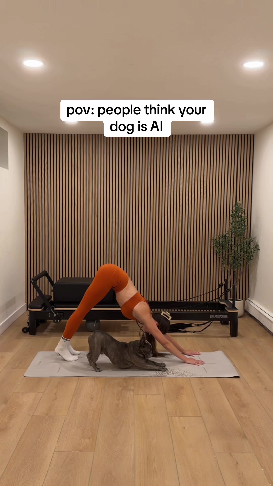 @Winston & Charlie 🐾