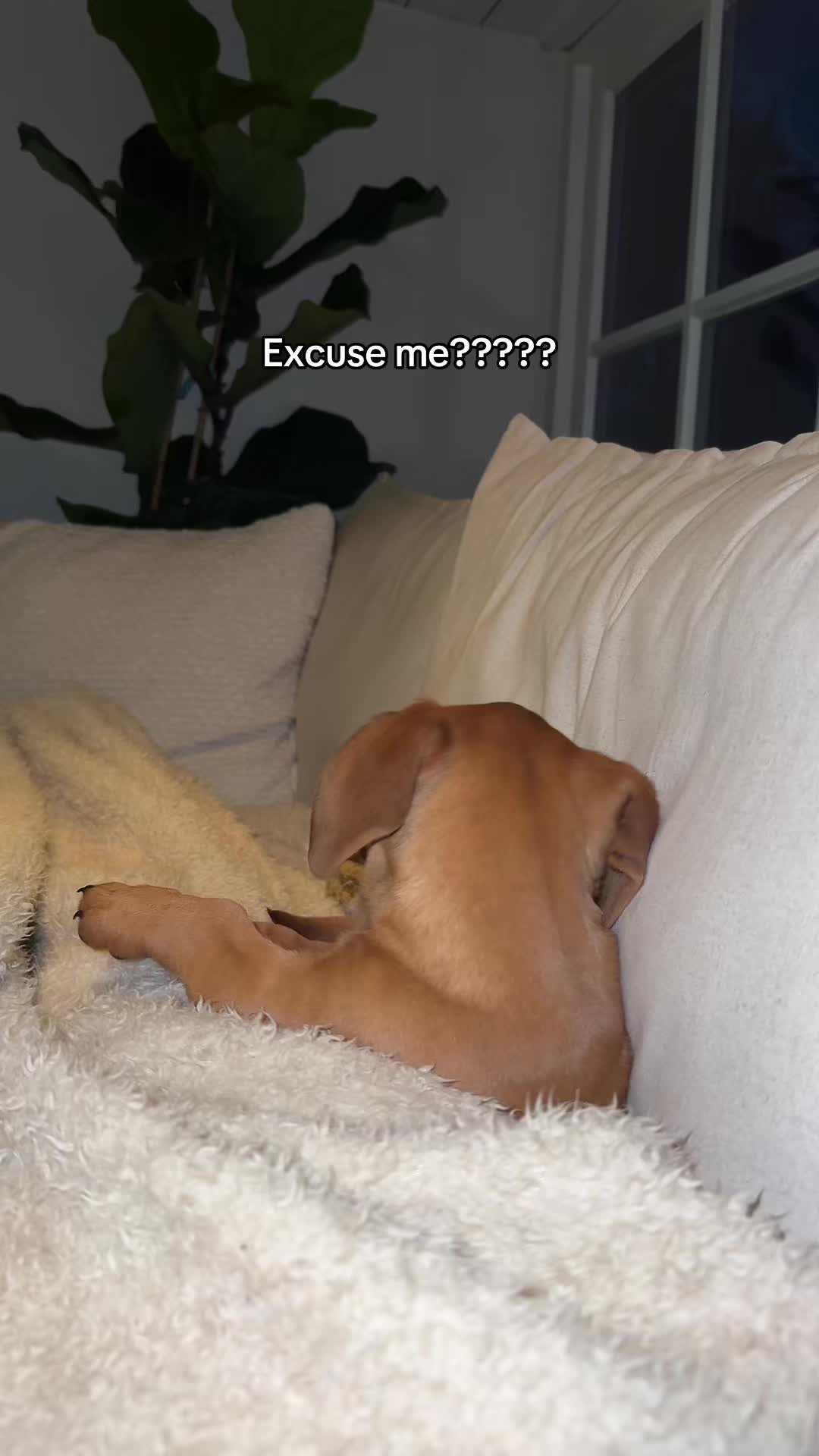 @INGE GROOT