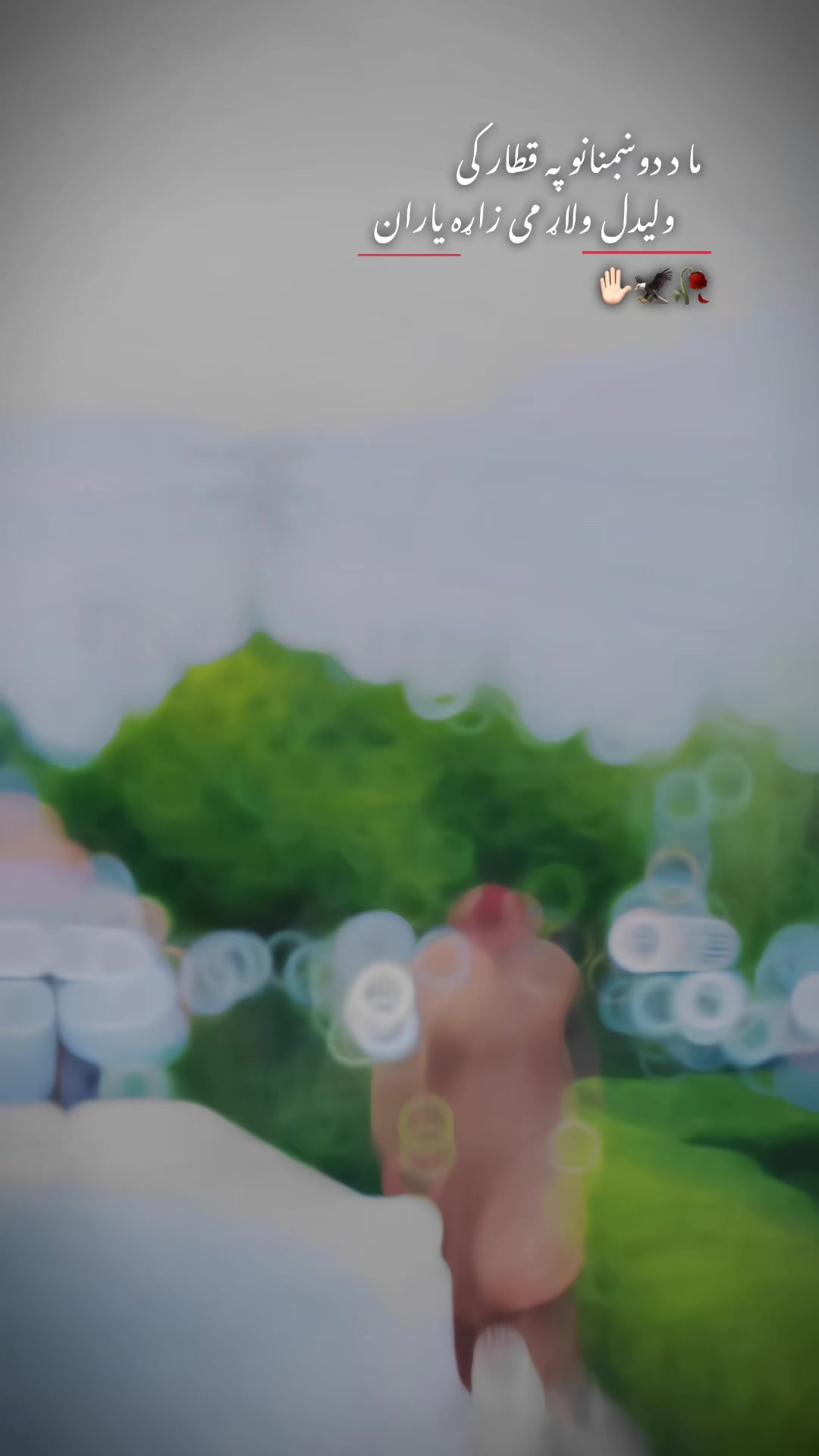 @𓆩&bull;.𝒾𝓉𝓍 𝓌𝒶𝒽𝒾𝒹ℴ.&bull;𓆪