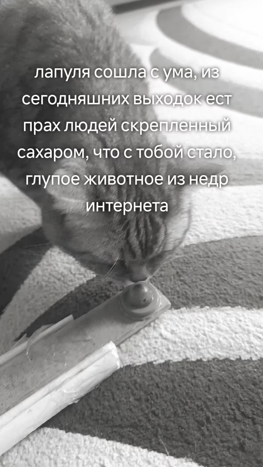 @Великий всепоглотитель
