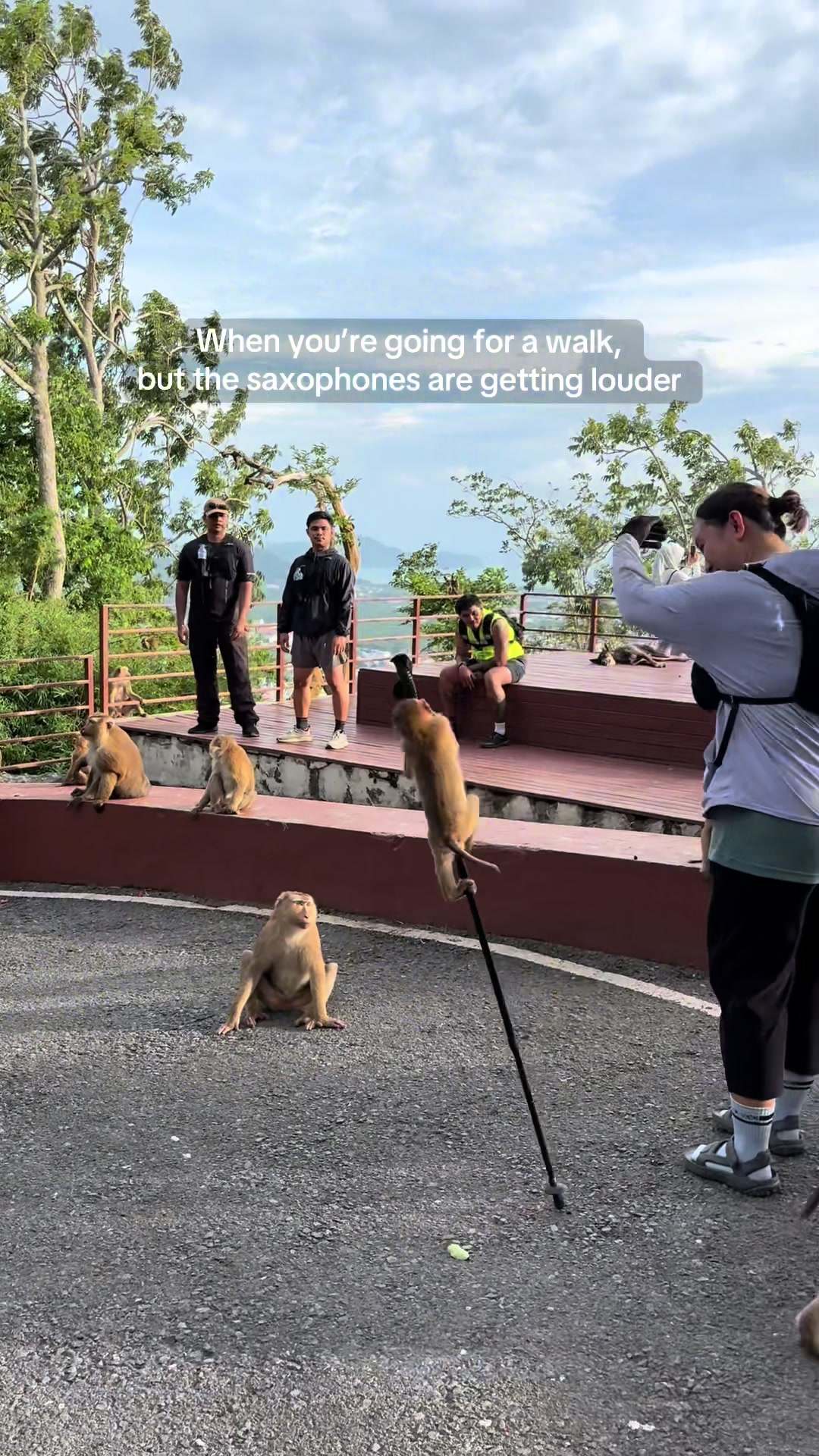 @Pas🗺️