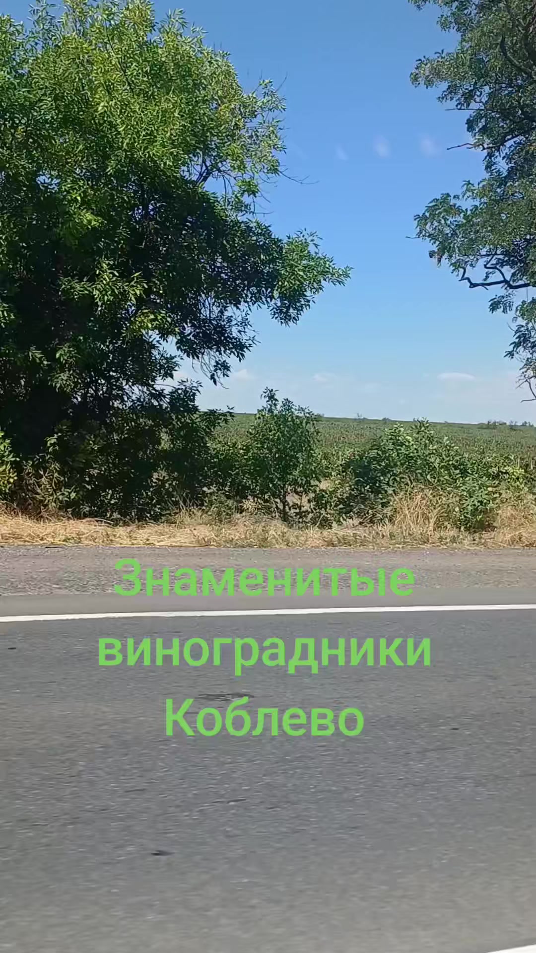 @Саша ( Метр )