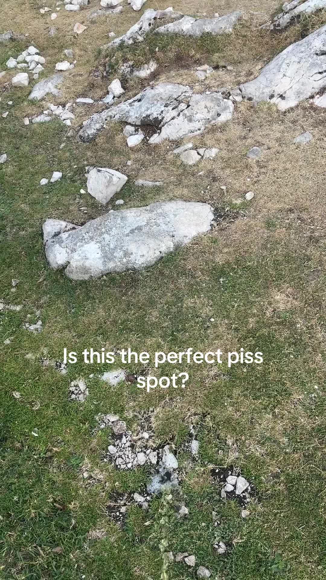 @wowthatsagoodphoto