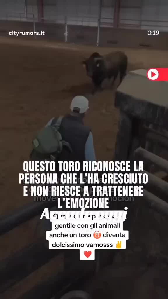 @L'inquisitore