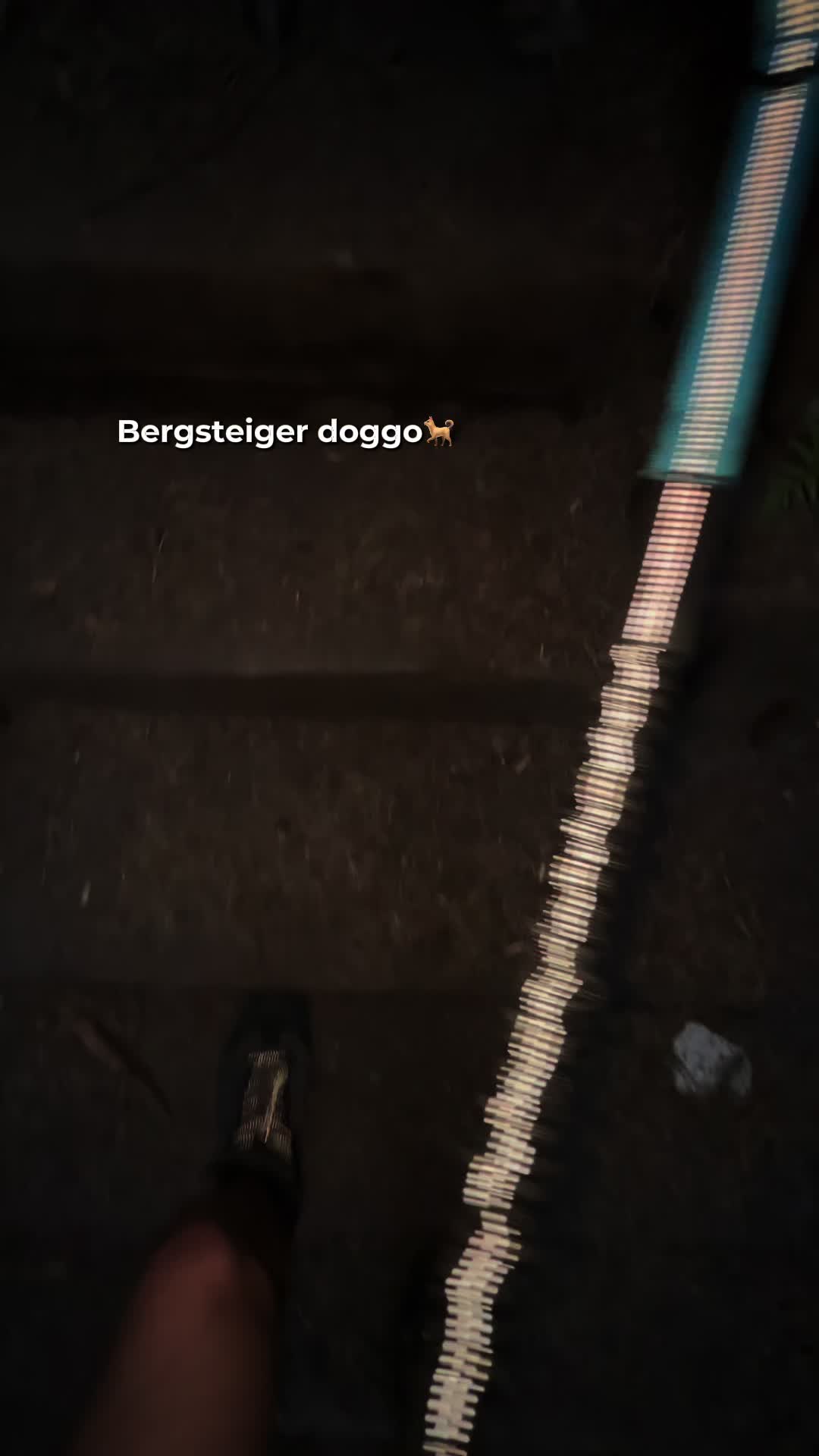 @️ ᛉ