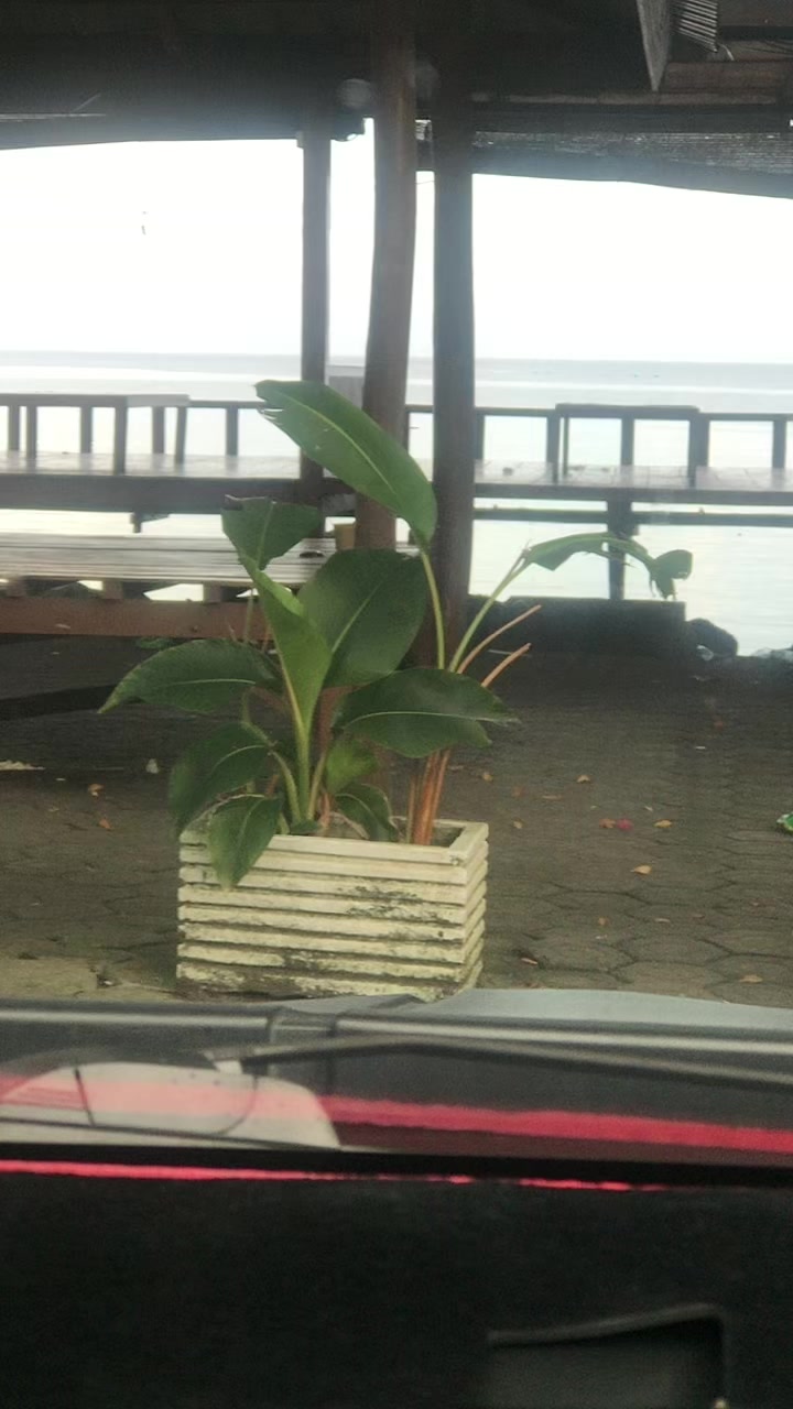 @cinta