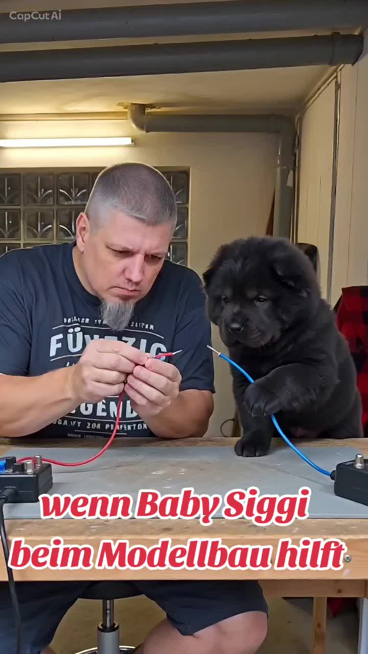 @Ironhawk