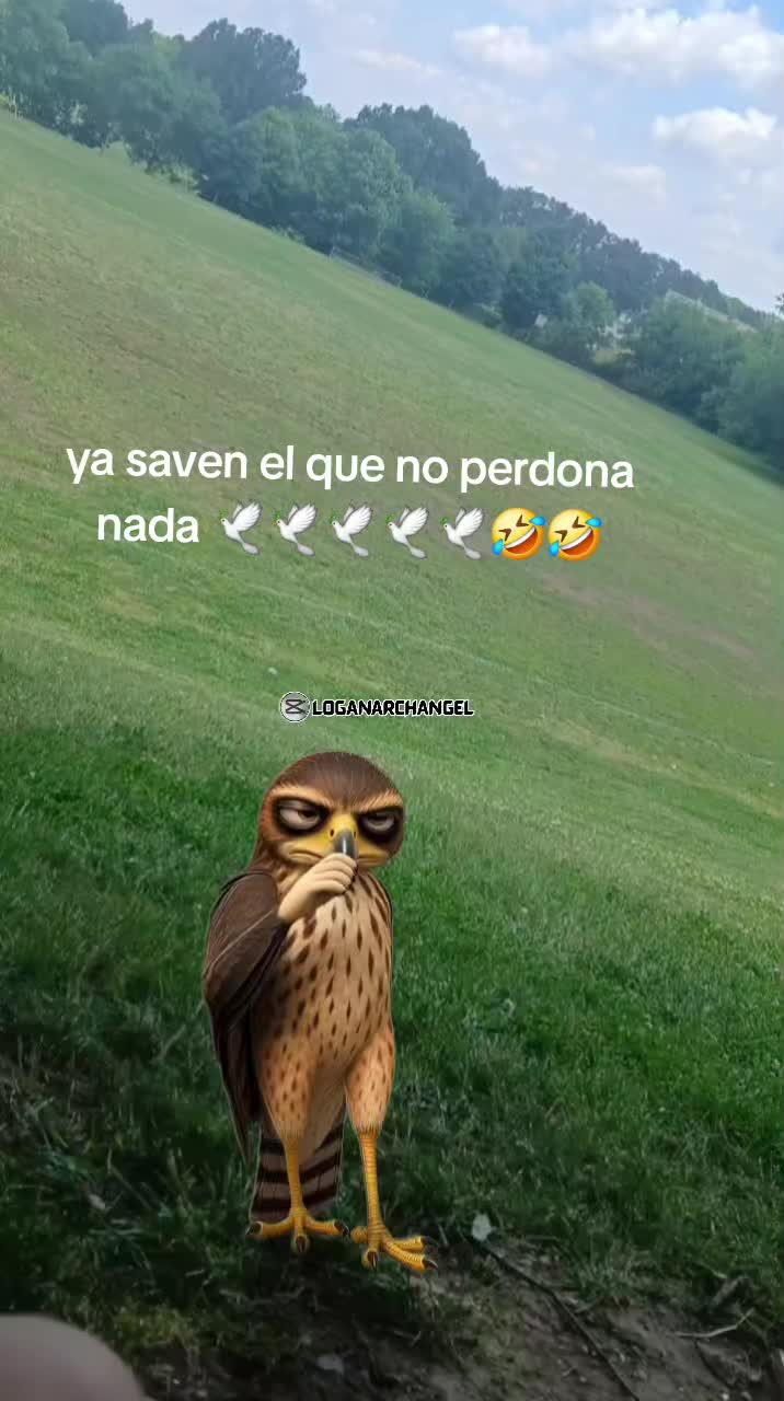 @inocente wiliams
