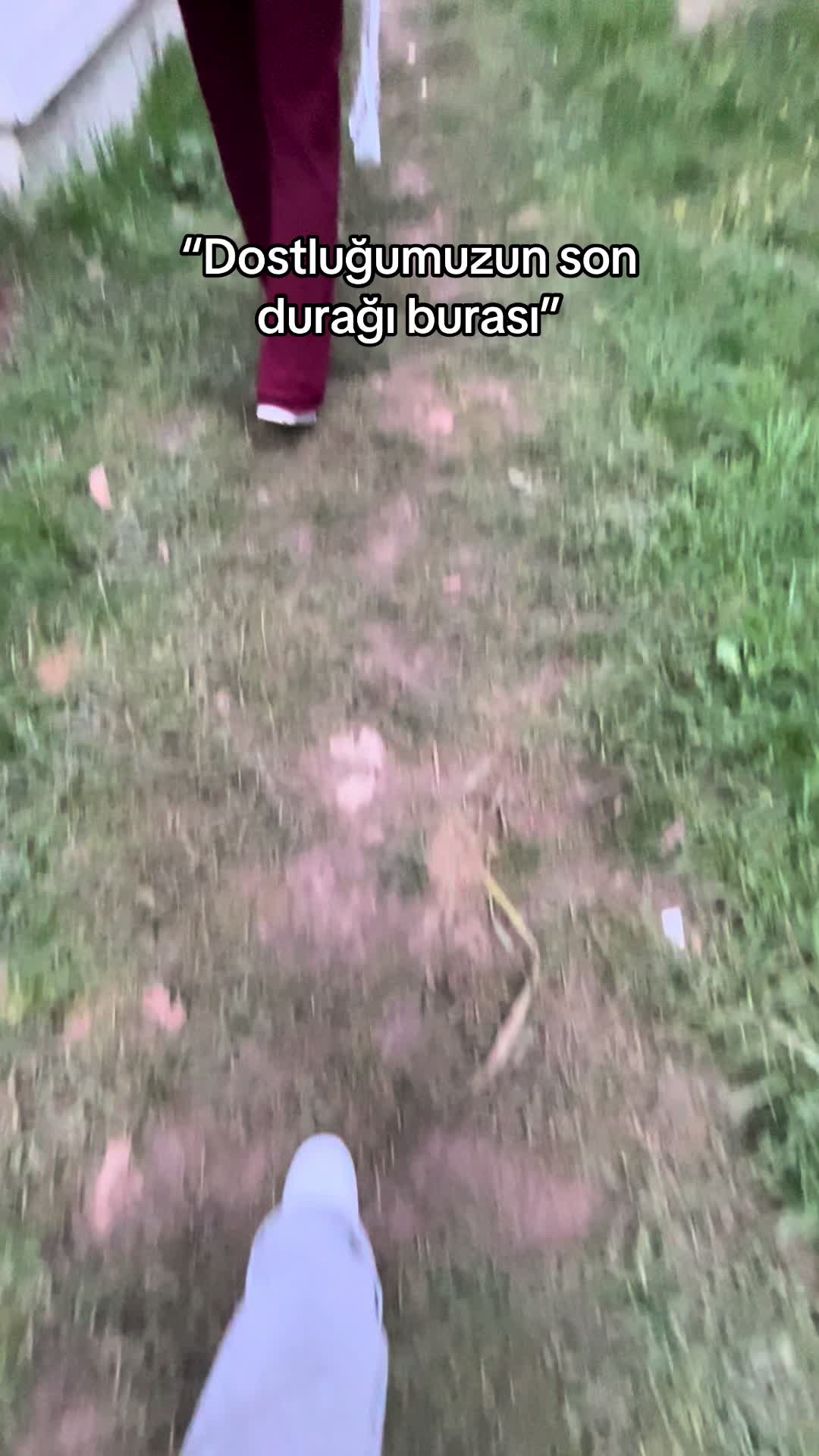 @𝓢𝓮𝓭𝓪