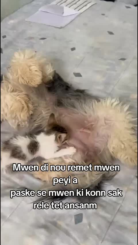 @Bendog