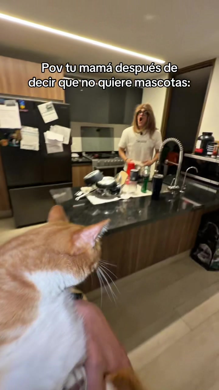 @PEPINLOYIN