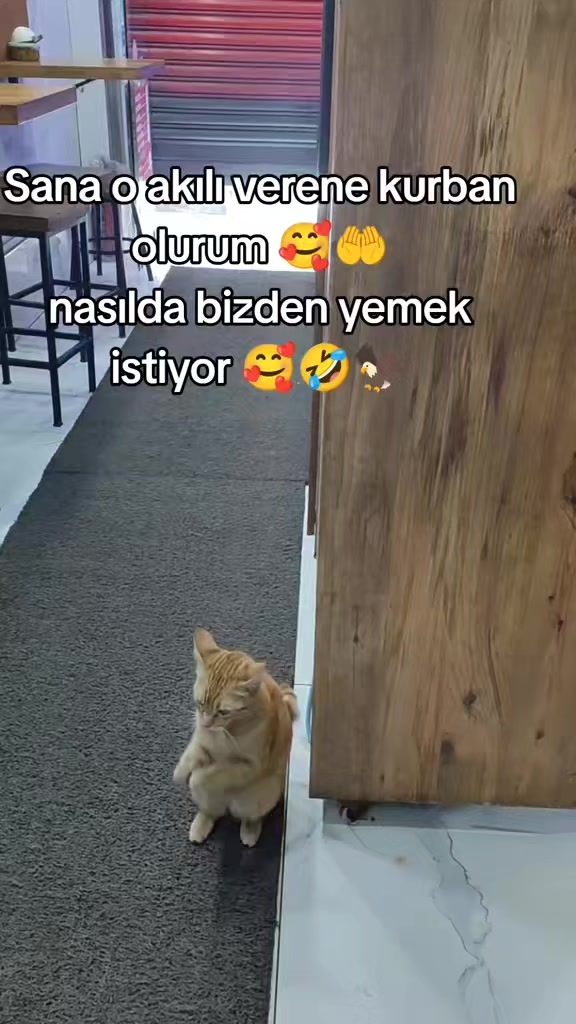 @___KARTAL__🖤🦅