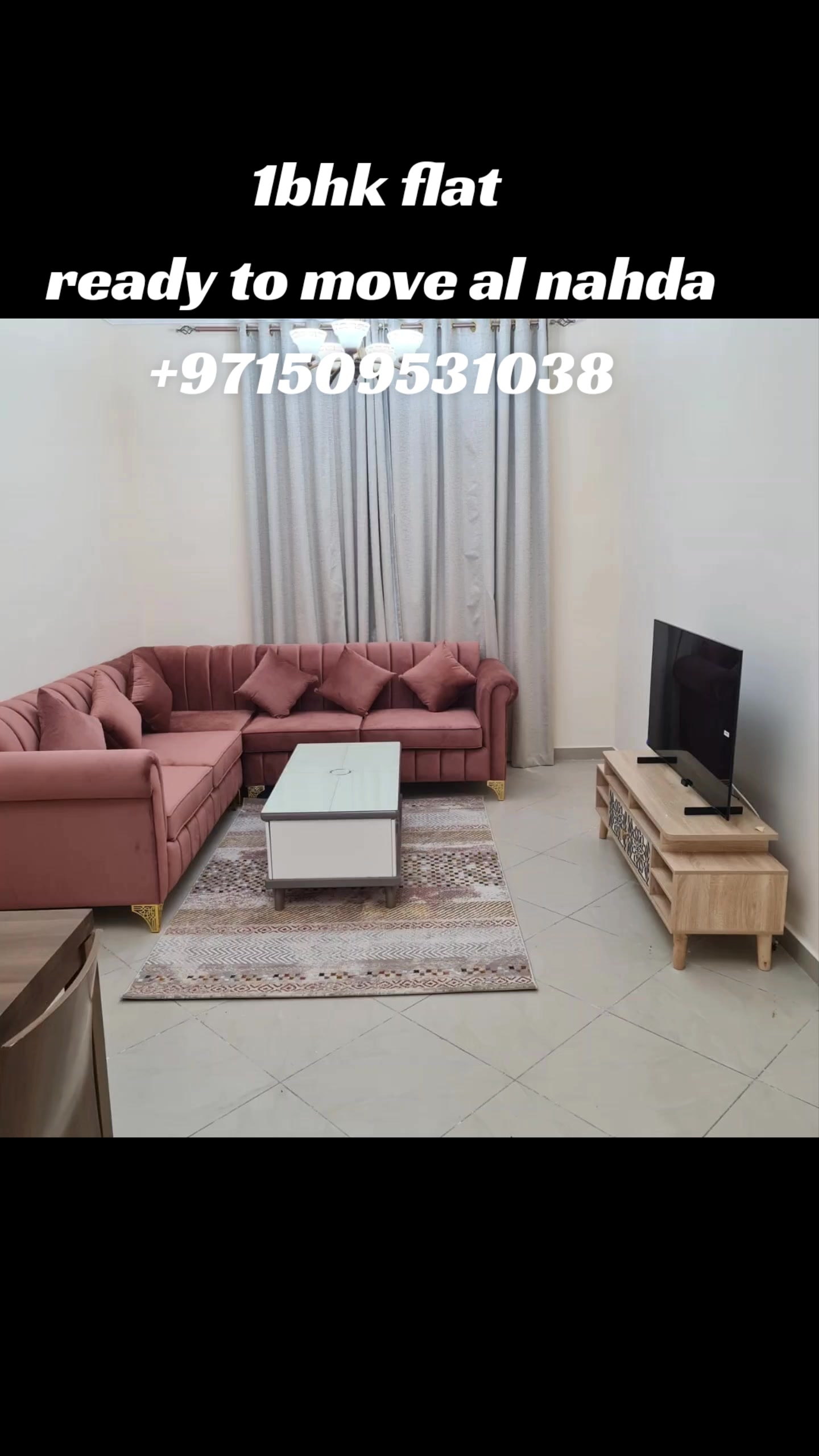 @Muhammad Ali realtor 🇵🇸