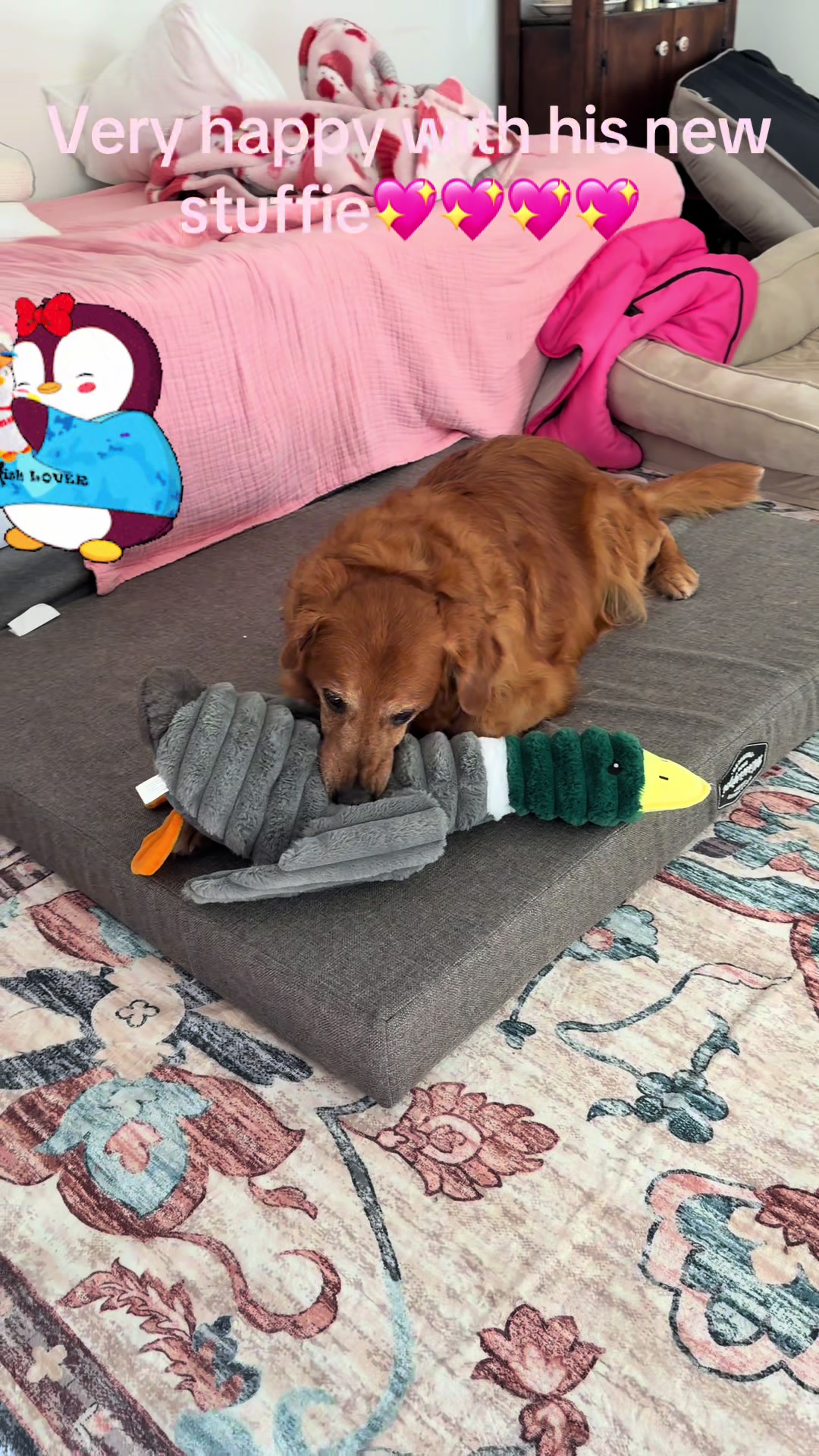 @DogMomisms