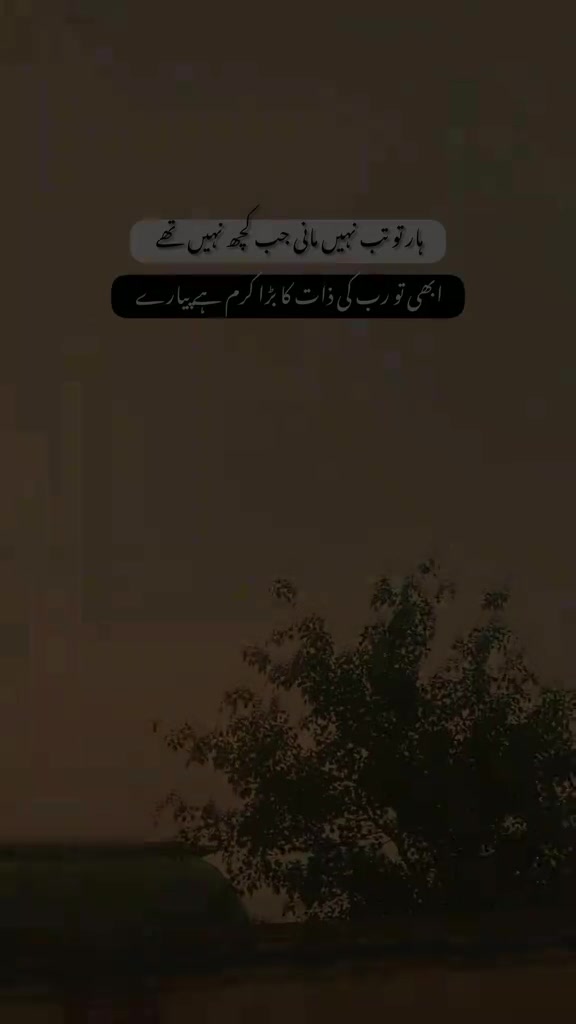 @Tayyab Khan