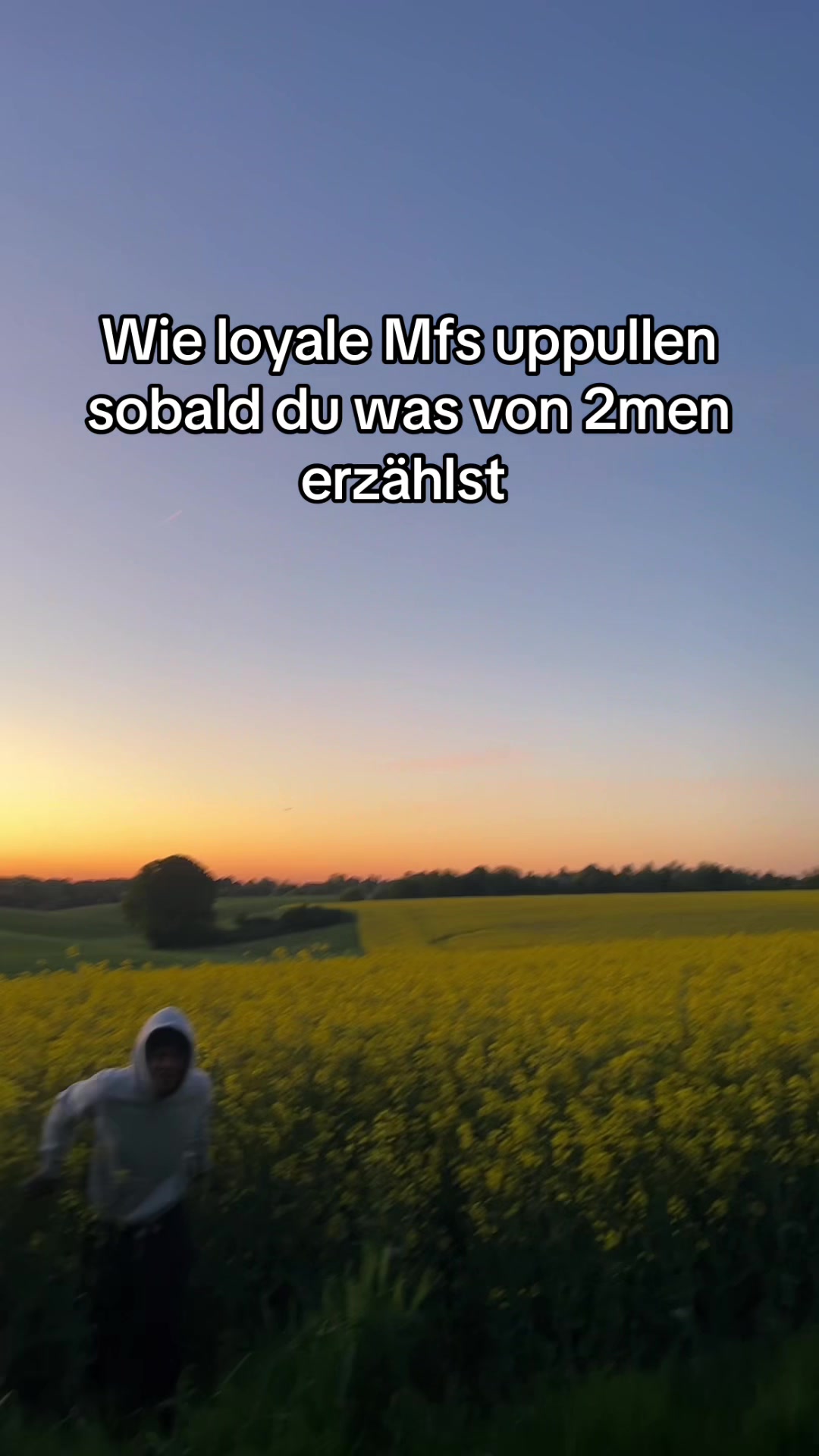 @setorkaiba