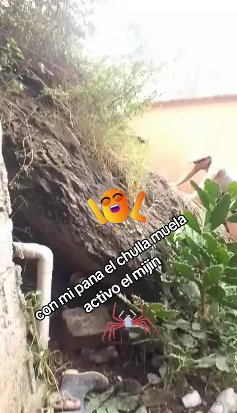 @antonio uzho.